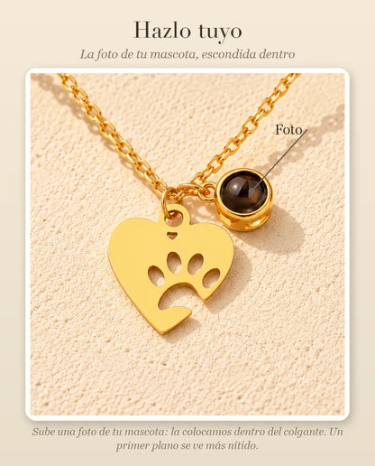 Guía de personalización que muestra la «Foto» de tu mascota dentro de la bolita de proyección